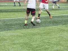 双色球惊喜,彩蛋,期红球秘籍,山东体彩,山东体彩网,山东体彩网官网,体育彩票,体彩大乐透,竞彩足球,体彩公益