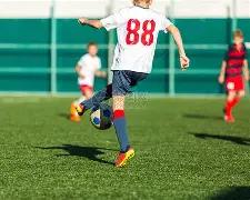 双色球攻略,期揭秘,精准预测红,山东体彩,山东体彩网,山东体彩网官网,体育彩票,体彩大乐透,竞彩足球,体彩公益