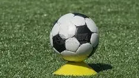 山东体彩网 资讯 105124 e3p