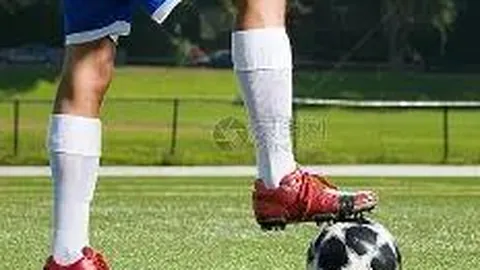 [狂欢预告]双色球2026012期红球号码大揭秘！全年独家奉献，精彩不容错过！