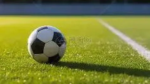 【彩票秘境】3D26035独家预测专区：揭秘专享和值秘码，敢不敢一试手气？