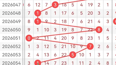 大乐透2026066期专家推荐：两码57关注，全奇组合看好